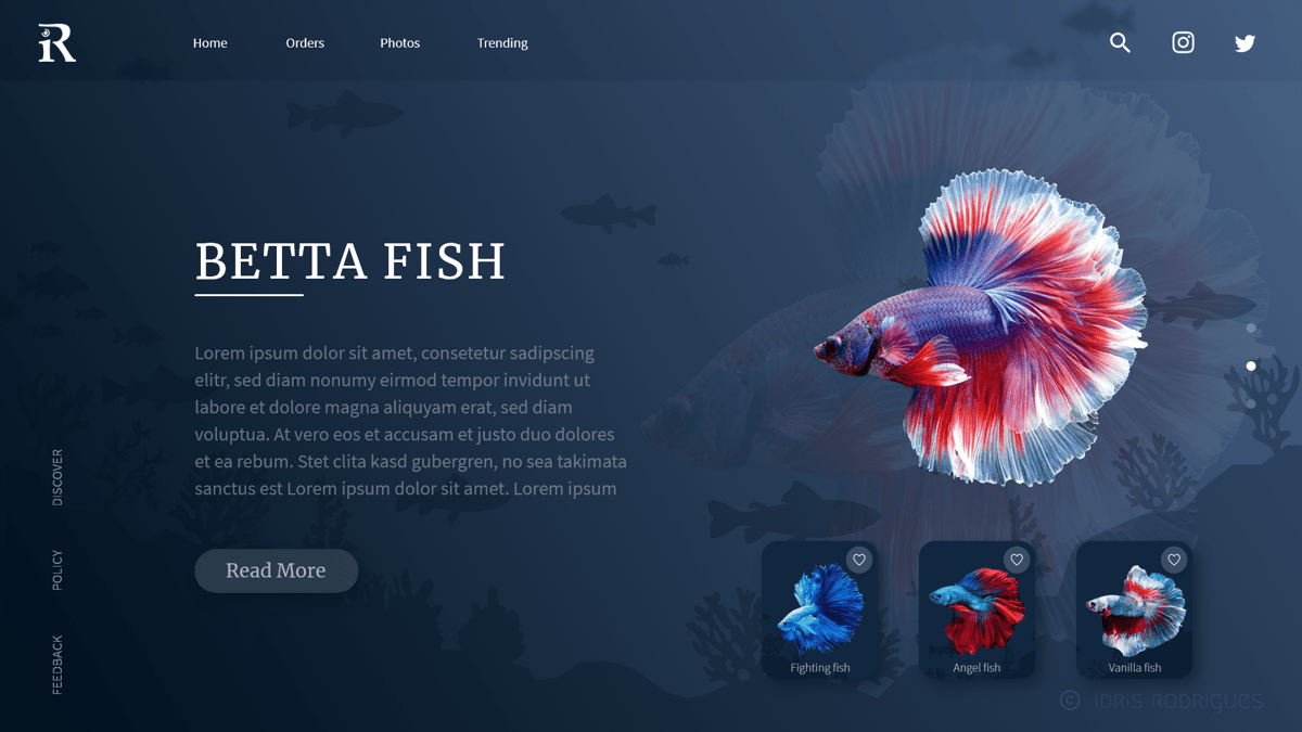  Aquarium Fish Design